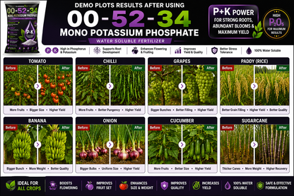 Mono Potassium Phosphate (MKP) 00:52:34 – Water Soluble Phosphorus & Potassium Fertilizer for Flowering & Fruit Development