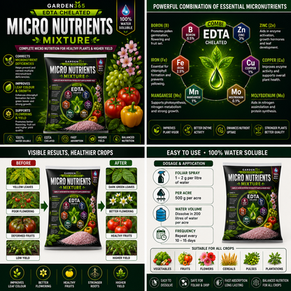 Micronutrient Mixture EDTA Chelated – Complete Micro Nutrition for Balanced Crop Growth