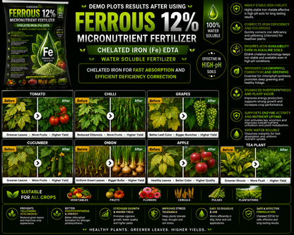 Ferrous EDTA 12% – Chelated Iron Micronutrient Fertilizer for Greener Leaves & Higher Photosynthesis