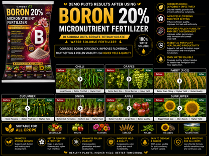 Boron 20% -Sodium Octaborate Tetrahydrate  – Water Soluble Boron Micronutrient Fertilizer for Flowering & Fruit Set