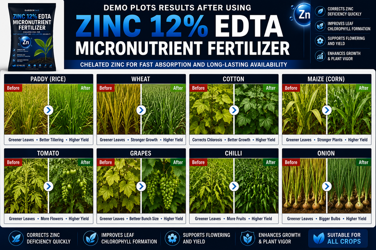 Zinc EDTA 12% – Chelated Zinc Micronutrient Fertilizer for Healthy Growth & Higher Yield