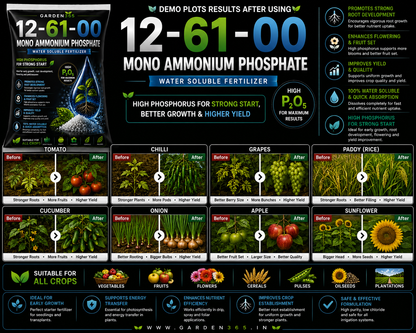 Mono Ammonium Phosphate (MAP) 12:61:00 – Water Soluble Phosphorus Fertilizer for Strong Roots & Early Growth