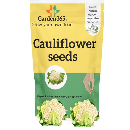 Organic heirloom cauliflower seeds