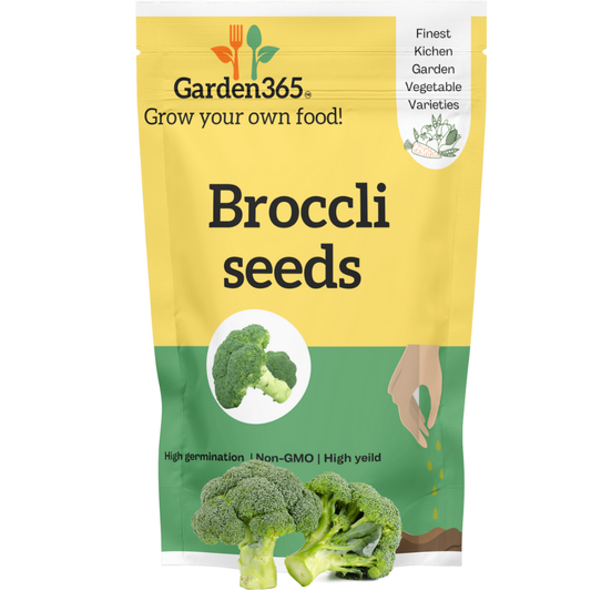 Organic heirloom broccoli seeds