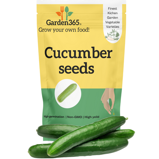 Organic heirloom cucumber seeds