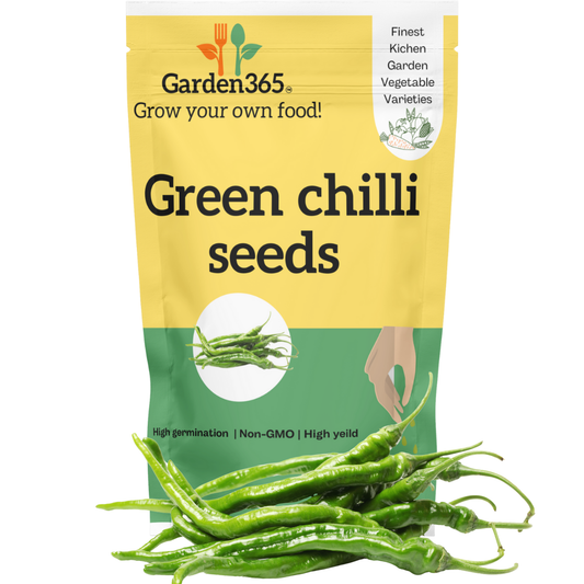 Organic Heirloom Green chilli seeds