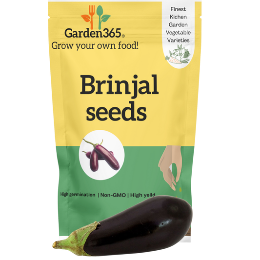 Organic heirloom Brinjal seeds
