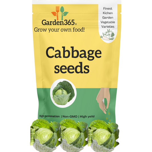 Organic Heirloom Cabbage seeds