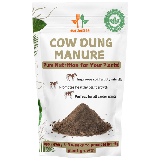 Desi cow Manure