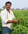 அனிதா தாஸ் - வீட்டுத் தோட்டக்காரர்