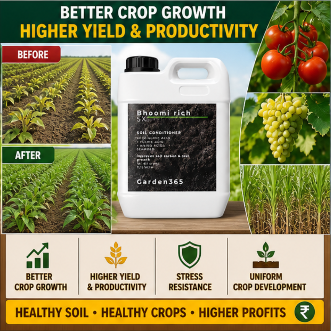 Bhoomi Rich 5X Soil Conditioner for pH Balance & Organic Carbon Boost