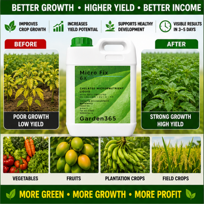 Micro Fix 6X Multi Micronutrient Liquid for All Crops | Corrects Deficiency & Improves Leaf Greening
