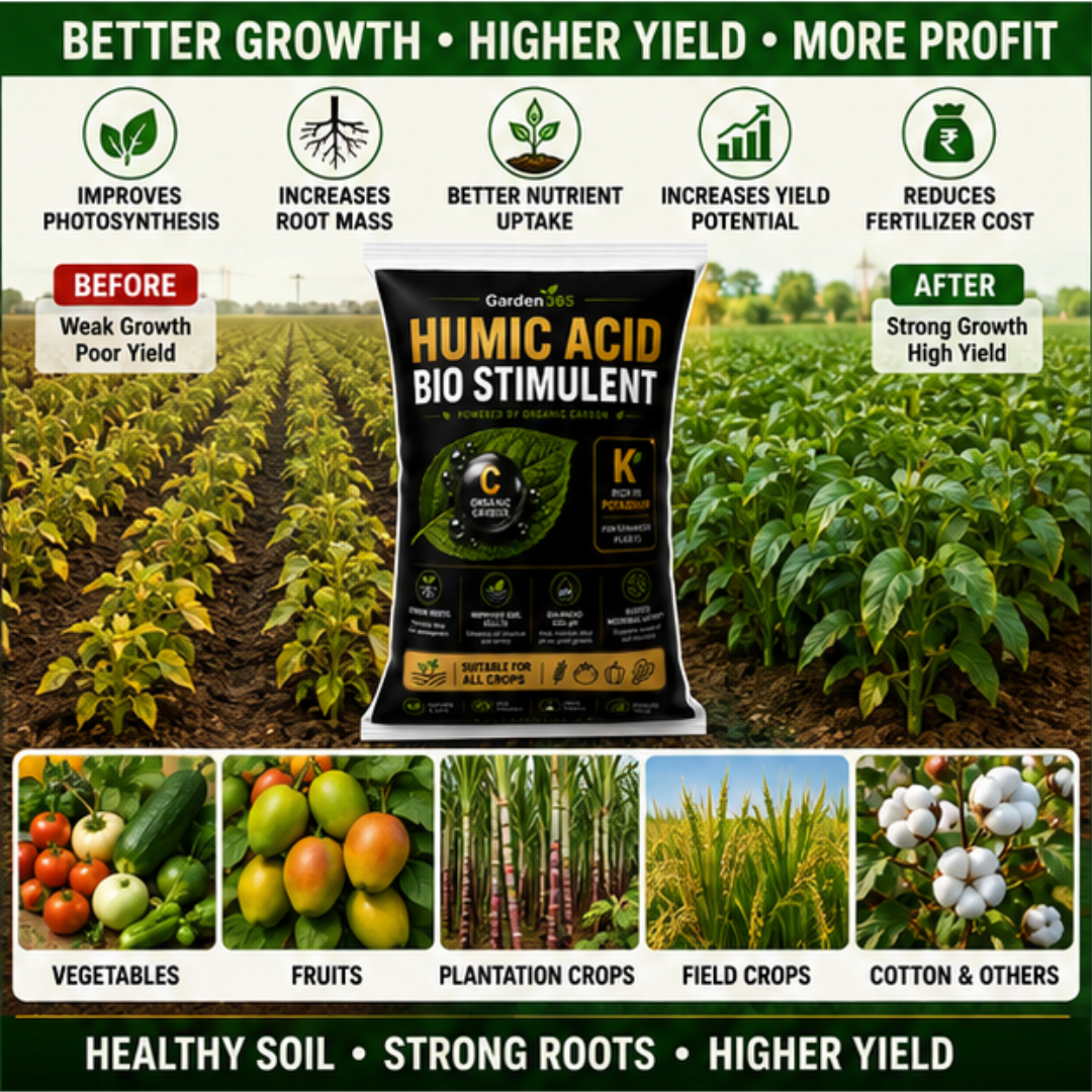 Humic Acid Bio Stimulant | Potassium Humate Shiny Flakes 98% | 100% Water Soluble | Organic Carbon Soil Booster for All Crops