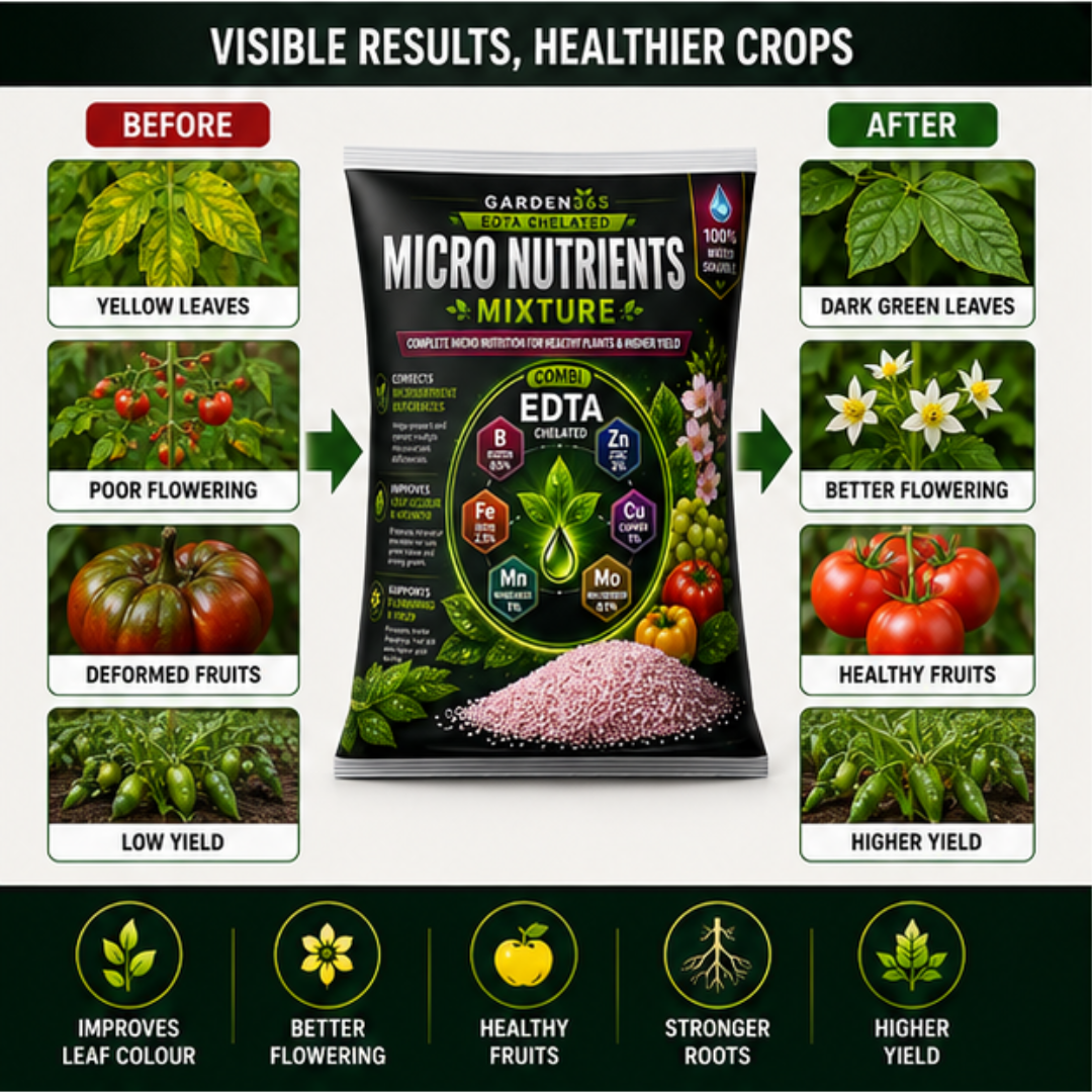 Micronutrient Mixture EDTA Chelated – Complete Micro Nutrition for Balanced Crop Growth