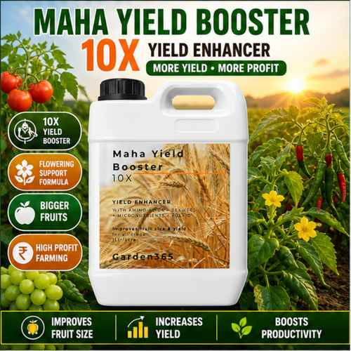 Maha Yield Booster 10X Yield Enhancer for All Crops | Improves Fruit Size, Weight & Productivity