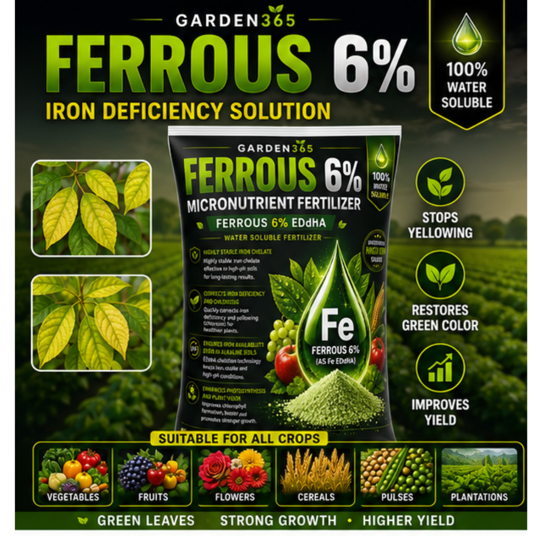 EDDHA Iron 6% – Chelated Iron Micronutrient Fertilizer for Alkaline & Calcareous Soils