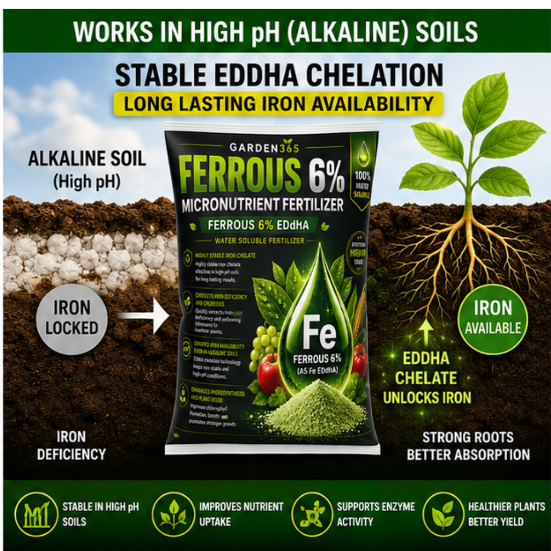 EDDHA Iron 6% – Chelated Iron Micronutrient Fertilizer for Alkaline & Calcareous Soils