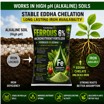EDDHA Iron 6% – Chelated Iron Micronutrient Fertilizer for Alkaline & Calcareous Soils