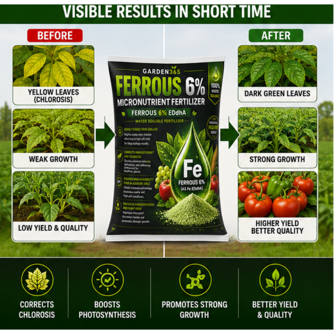 EDDHA Iron 6% – Chelated Iron Micronutrient Fertilizer for Alkaline & Calcareous Soils