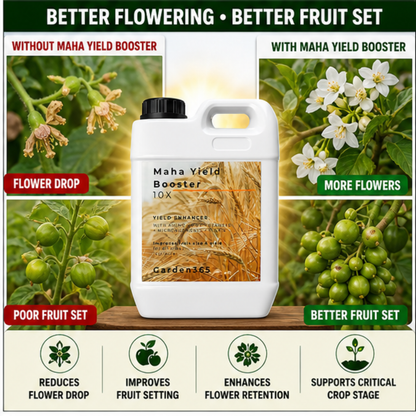 Maha Yield Booster 10X Yield Enhancer for All Crops | Improves Fruit Size, Weight & Productivity