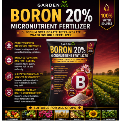 Boron 20% -Sodium Octaborate Tetrahydrate  – Water Soluble Boron Micronutrient Fertilizer for Flowering & Fruit Set