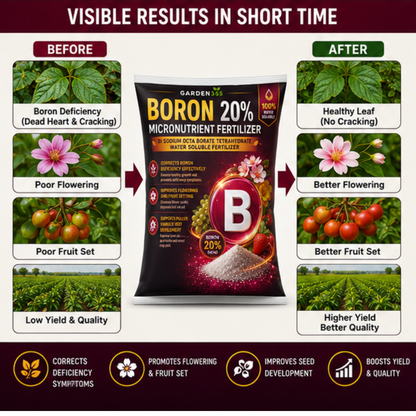 Boron 20% -Sodium Octaborate Tetrahydrate  – Water Soluble Boron Micronutrient Fertilizer for Flowering & Fruit Set