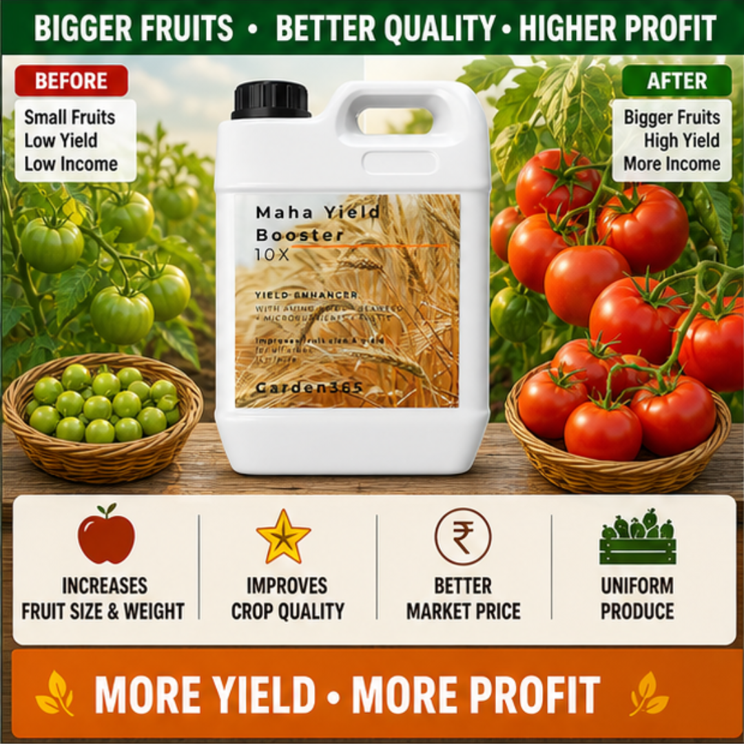 Maha Yield Booster 10X Yield Enhancer for All Crops | Improves Fruit Size, Weight & Productivity