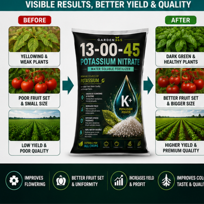 Potassium Nitrate 13:00:45 – Water Soluble Nitrate Potash Fertilizer for Flowering, Fruit Size & Quality