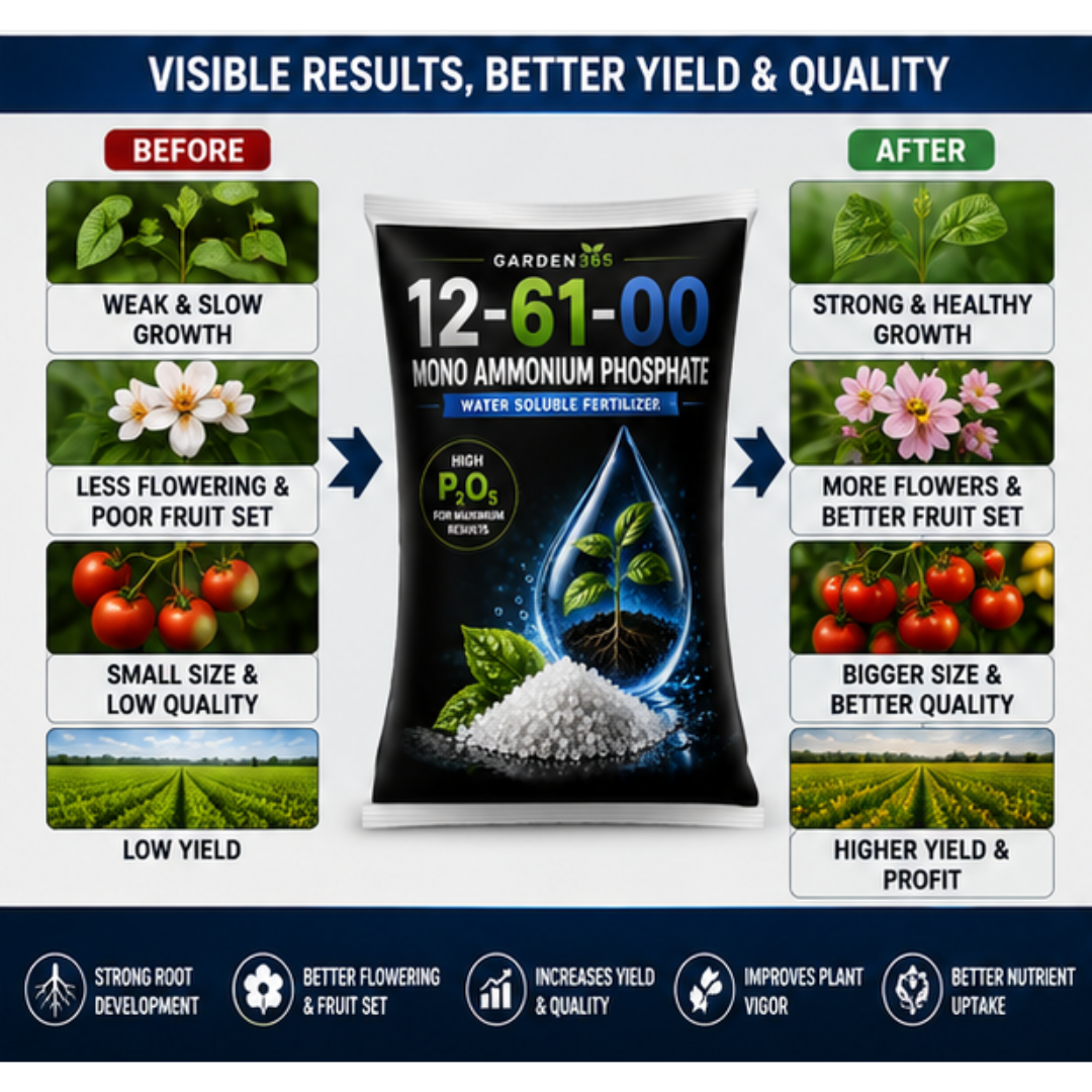Mono Ammonium Phosphate (MAP) 12:61:00 – Water Soluble Phosphorus Fertilizer for Strong Roots & Early Growth