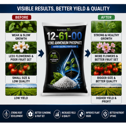 Mono Ammonium Phosphate (MAP) 12:61:00 – Water Soluble Phosphorus Fertilizer for Strong Roots & Early Growth