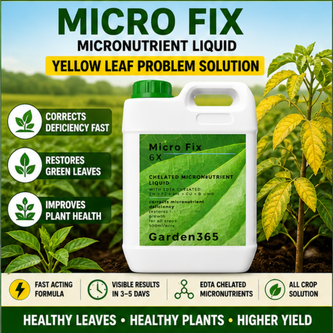 Micro Fix 6X Multi Micronutrient Liquid for All Crops | Corrects Deficiency & Improves Leaf Greening
