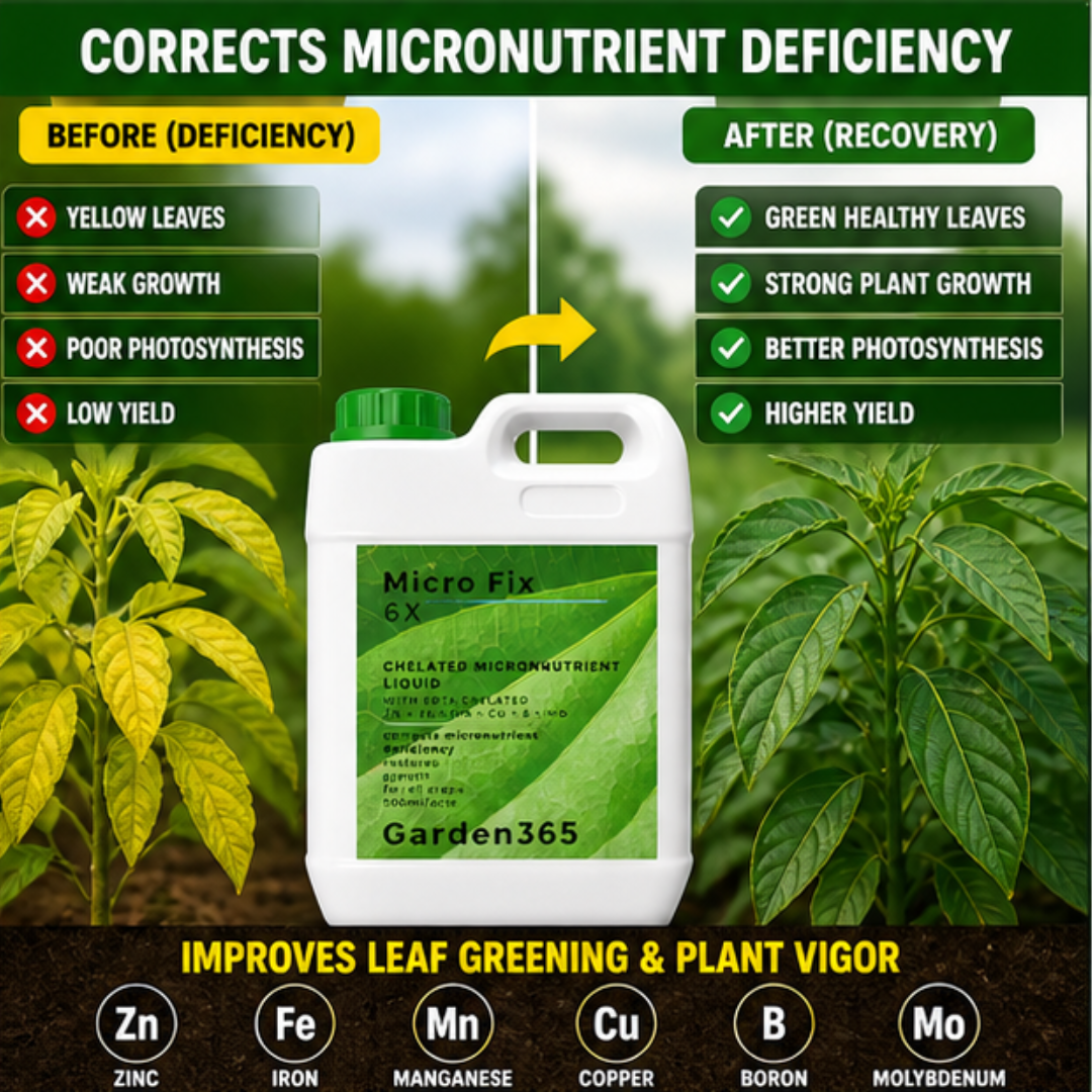 Micro Fix 6X Multi Micronutrient Liquid for All Crops | Corrects Deficiency & Improves Leaf Greening