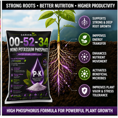 Mono Potassium Phosphate (MKP) 00:52:34 – Water Soluble Phosphorus & Potassium Fertilizer for Flowering & Fruit Development