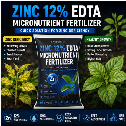 Zinc EDTA 12% – Chelated Zinc Micronutrient Fertilizer for Healthy Growth & Higher Yield