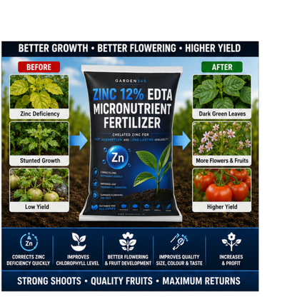 Zinc EDTA 12% – Chelated Zinc Micronutrient Fertilizer for Healthy Growth & Higher Yield