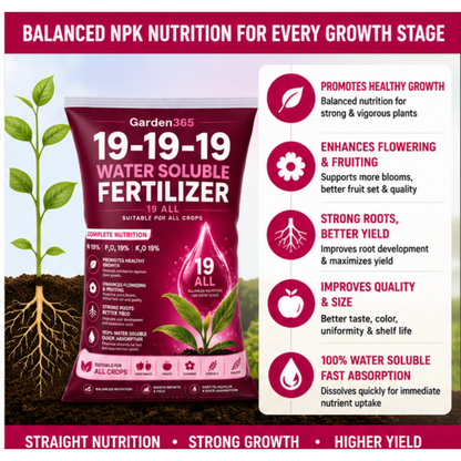 19:19:19 – NPK Water Soluble Fertilizer for Overall Crop Growth