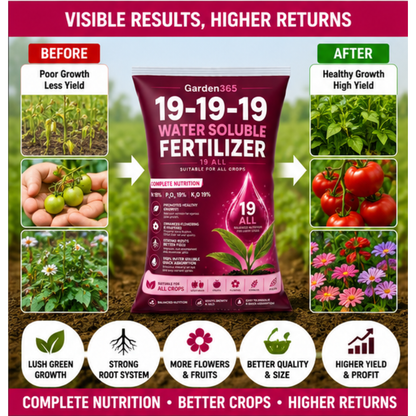 19:19:19 – NPK Water Soluble Fertilizer for Overall Crop Growth
