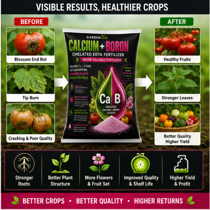 Calcium Boron Chelated (EDTA) – Water Soluble Micronutrient Fertilizer for Flowering, Fruit Set & Strong Cell Structure