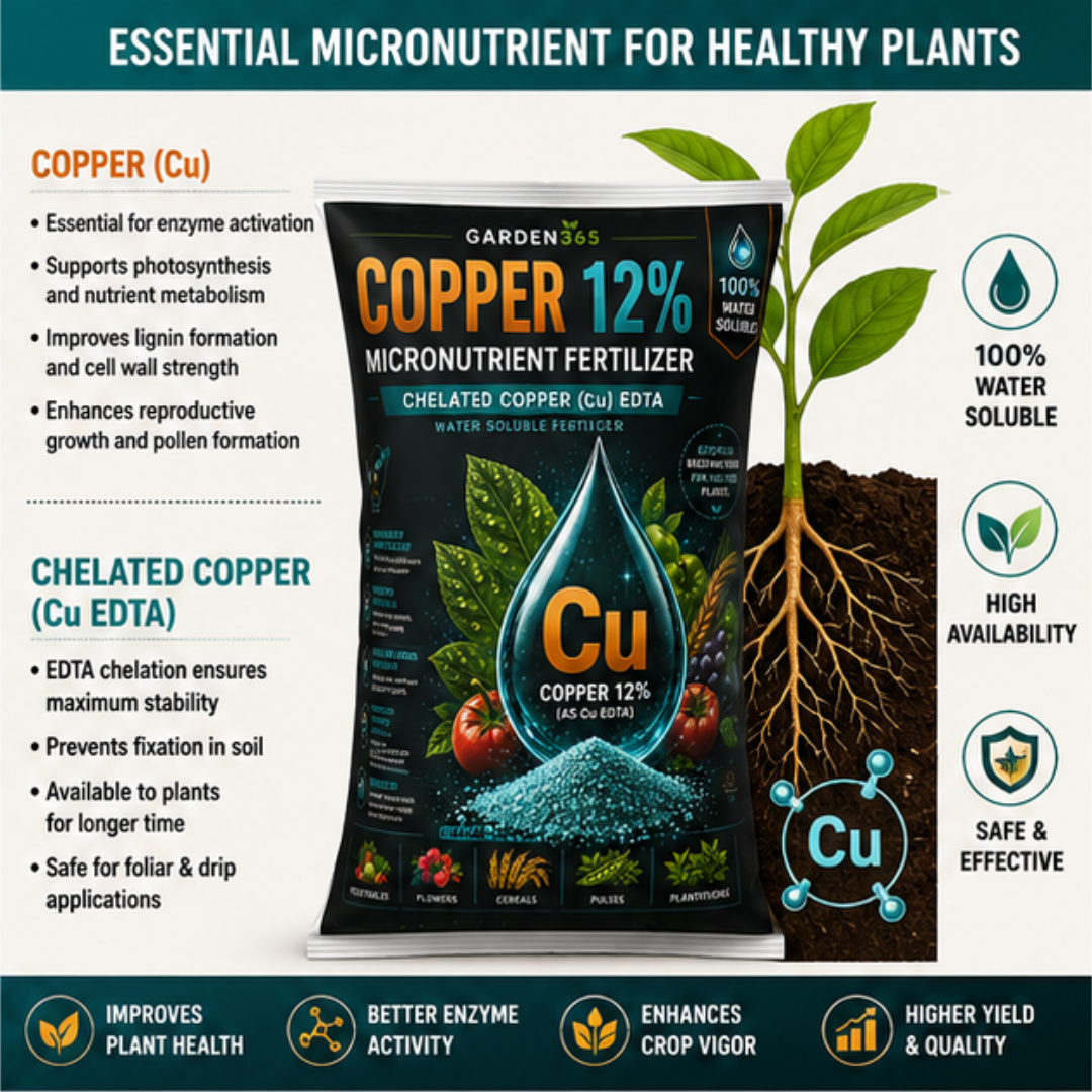 Copper EDTA 12% – Chelated Copper Micronutrient Fertilizer for Strong Growth & Disease Resistance