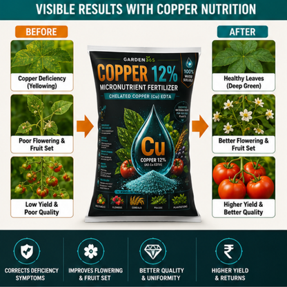Copper EDTA 12% – Chelated Copper Micronutrient Fertilizer for Strong Growth & Disease Resistance