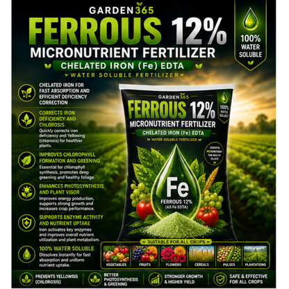 Ferrous EDTA 12% – Chelated Iron Micronutrient Fertilizer for Greener Leaves & Higher Photosynthesis
