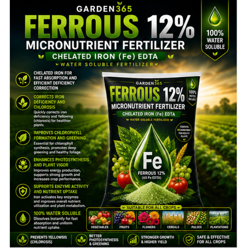 Ferrous EDTA 12% – Chelated Iron Micronutrient Fertilizer for Greener Leaves & Higher Photosynthesis