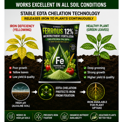 Ferrous EDTA 12% – Chelated Iron Micronutrient Fertilizer for Greener Leaves & Higher Photosynthesis