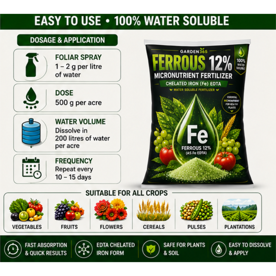 Ferrous EDTA 12% – Chelated Iron Micronutrient Fertilizer for Greener Leaves & Higher Photosynthesis