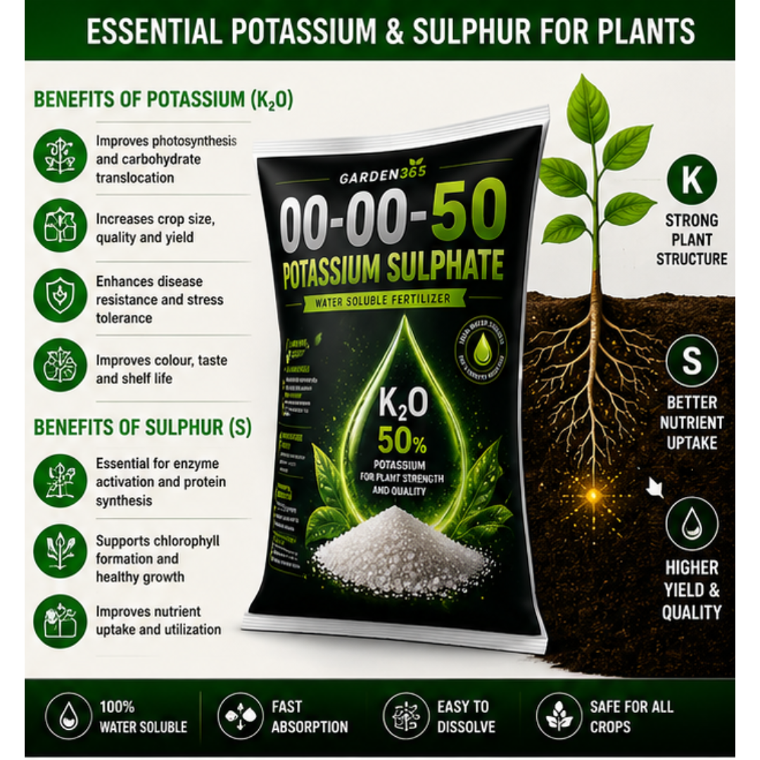 Potassium Sulphate (SOP) 00:00:50 – Water Soluble Potash Fertilizer for Quality Yield & Stress Tolerance
