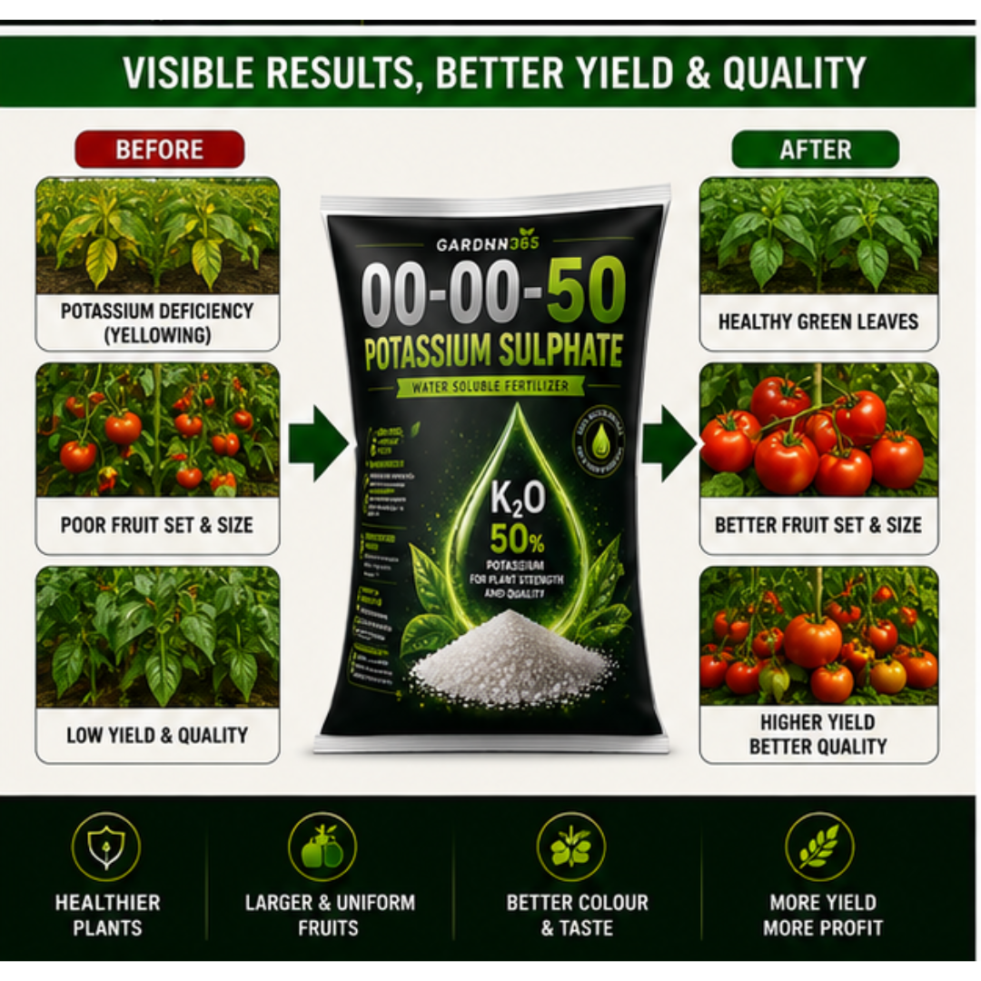 Potassium Sulphate (SOP) 00:00:50 – Water Soluble Potash Fertilizer for Quality Yield & Stress Tolerance