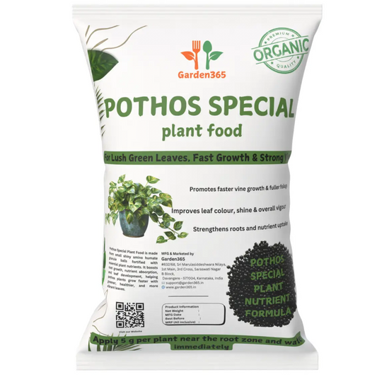 Pothos Special Plant Food – Growth Booster for Bushy Vines, Bigger Leaves & Healthy Indoor Plants (Apply Up to 100 Plants / Times)