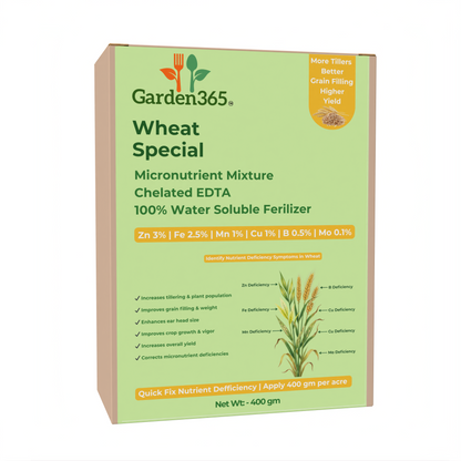 Wheat Special Micronutrient Fertilizer  (गेहूं | ಗೋಧಿ | గోధుమ | கோதுமை | ഗോതമ്പ്)  EDTA Chelated 100% Water Soluble Fertilizer – 400g per Acre