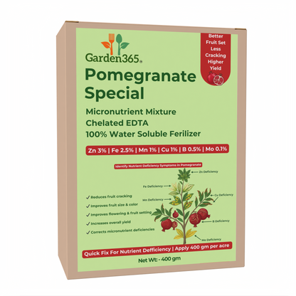 Pomegranate Special Micronutrient Fertilizer  (अनार | ದಾಳಿಂಬೆ | దానిమ్మ | மாதுளை | മാതളനാരങ്ങ)  EDTA Chelated 100% Water Soluble Fertilizer – 400g per Acre