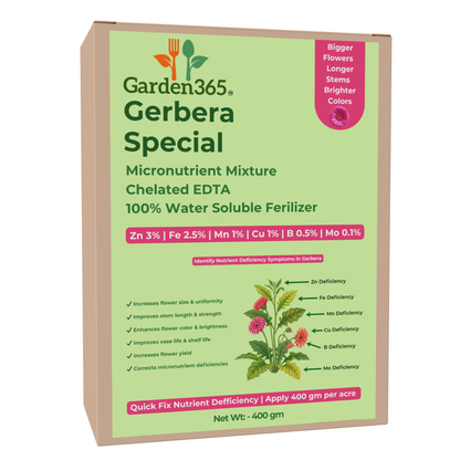 Gerbera Special Micronutrient Fertilizer  (जरबेरा | ಜರ್ಬೆರಾ | గెర్బెరా | ஜெர்பெரா | ജെർബെറ)  EDTA Chelated 100% Water Soluble Fertilizer – 400g per Acre